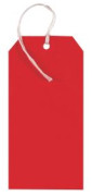 Coloured String Tags Red 120mm X 60mm